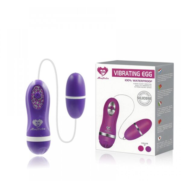 Vibrador Capsula com Controle a Fio - Sexshop