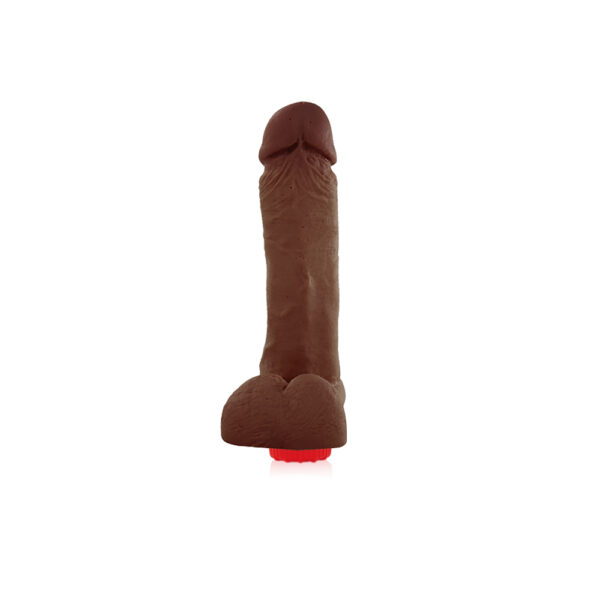 Pênis Real Peter vibrador e Escroto ideal Marrom - 4x16cm - Sex Shop