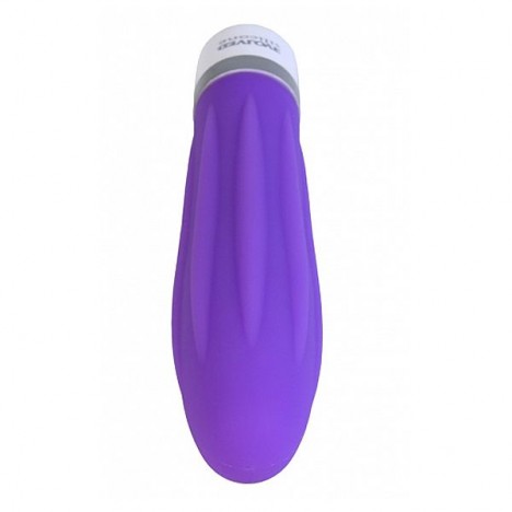 Silicone Fleur de Lis - Delight Violet - Evolved Novelties - Sex shop