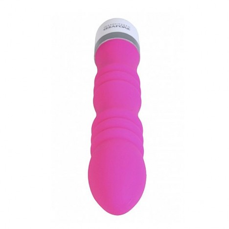 Silicone Fleur de Lis - Desire Pink - Evolved Novelties - Sex shop