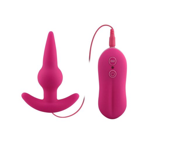 Sexshop - Plug Anal com 10 Funções e Controle Remoto Bulb Probe