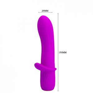 Mini Vibrador Recarregável com 12 Modos de Vibração - PRETTY LOVE TROY - Sex shop