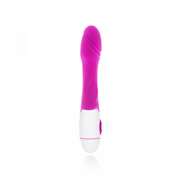 Vibrador com Ponta em Formato de Pênis com 30 Modos de Vibração - FEMALE VIBRATOR - Sexshop