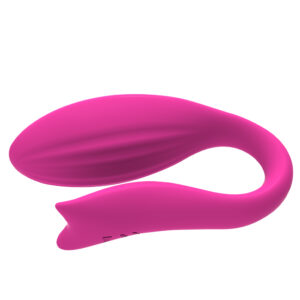 Vibrador Recarregável para Casais com Controle Wireless e 12 Modos de Vibração - Sex shop