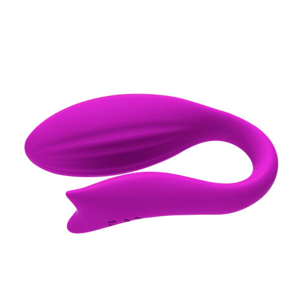 Vibrador Recarregável para Casais com Controle Wireless e 12 Modos de Vibração - Sex shop