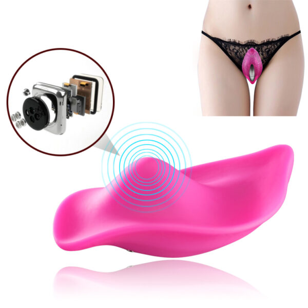 Vibrador Recarregável para Uso com Lingerie e Controle Wireless - PANAME - Sexshop