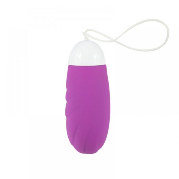 Vibrador Feminino Controlado pelo Celular AiDi