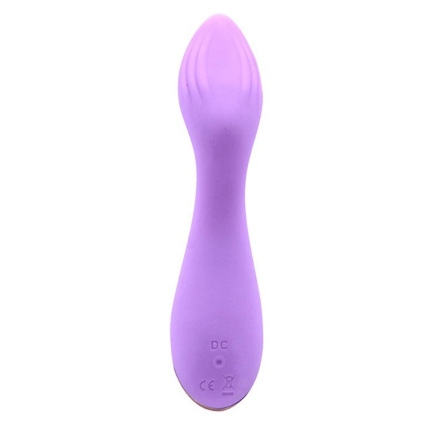 Vibrador Ponto G Fairy Flower II - AILIGHTER - Sexshop