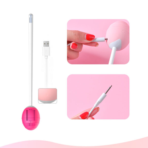 Bolinha Vibradora para estimulação ou Pompoarismo - Sexshop