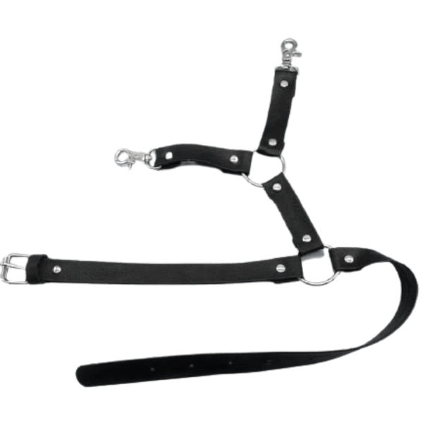 Cinto Para Coxa Dupla Arnês Masculina Sexy Em Couro Branco - Image 2