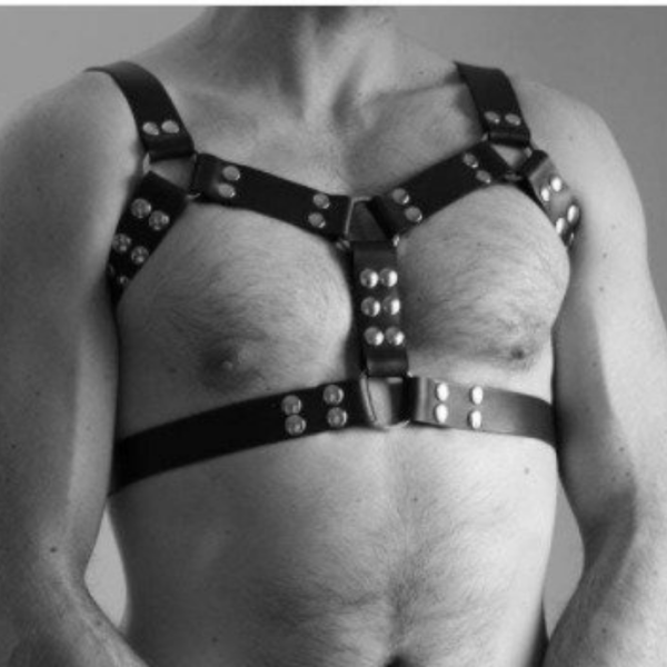 Arreio Masculino Fetiche em Couro Vinho Sexy Arnês BDSM - Image 2