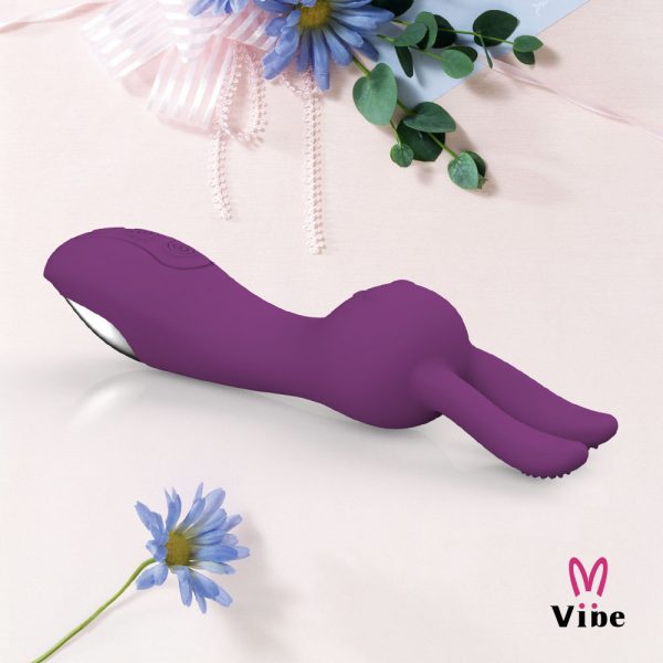 Vibrador com estimulador de Clitóris em orelhas Recarregável - Image 8