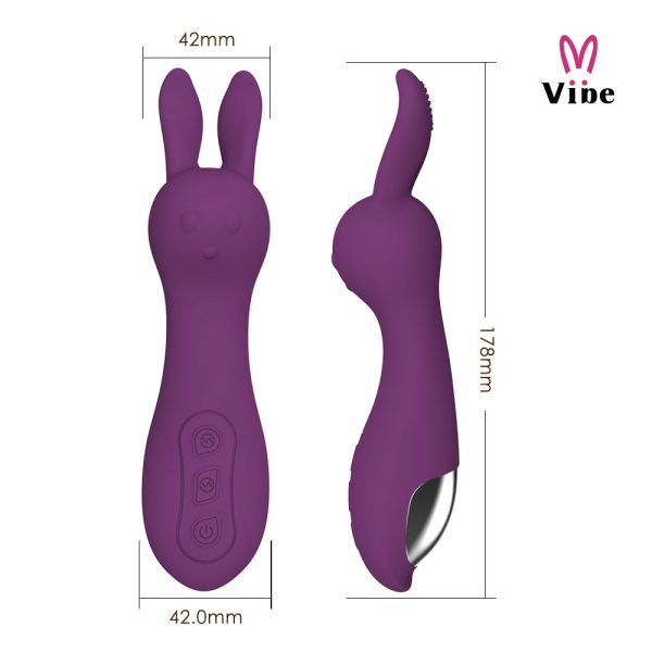 Vibrador com estimulador de Clitóris em orelhas Recarregável - Image 11