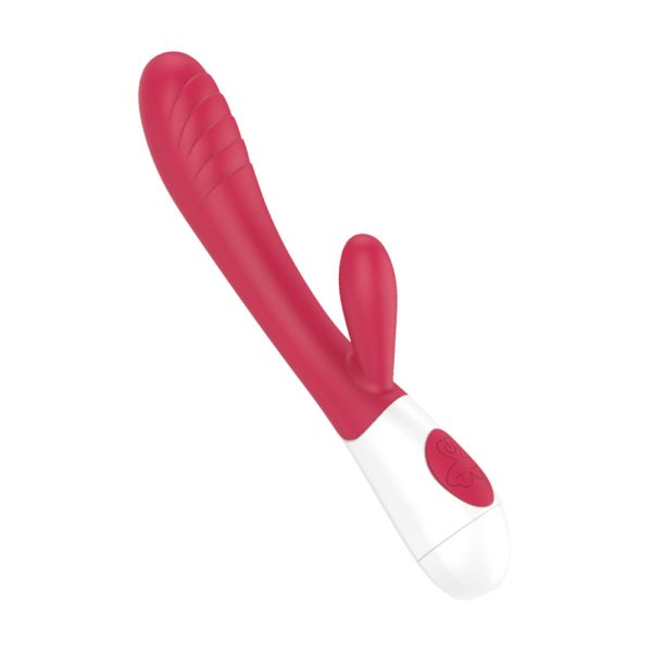 Vibrador Feminino Estimulador de Ponto G e Clitóris - USB - Image 5