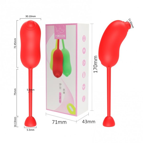 Vibrador Capsula Recarregavel com Cordão + Controle - I-Moon - Image 8