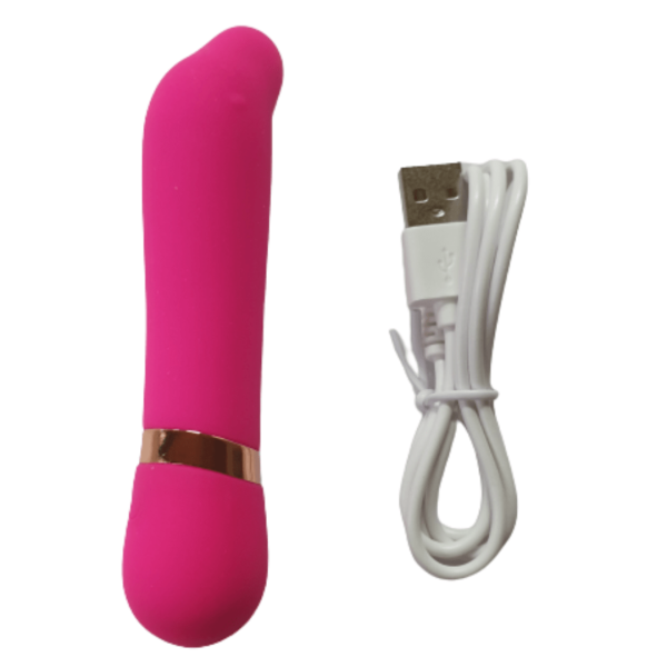 Cápsula Vibratória em Formato de Golfinho 10 Velocidades USB - Image 4