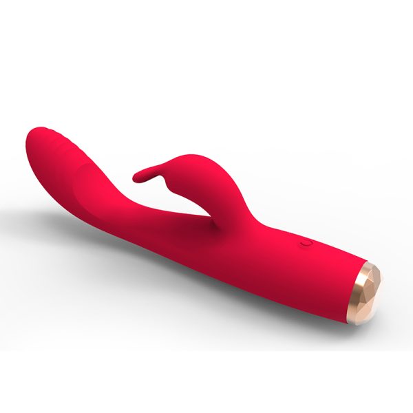 Vibrador Duplo Ponto G Clitóris 10 Velocidades Mr.Rabbit USB - Image 5