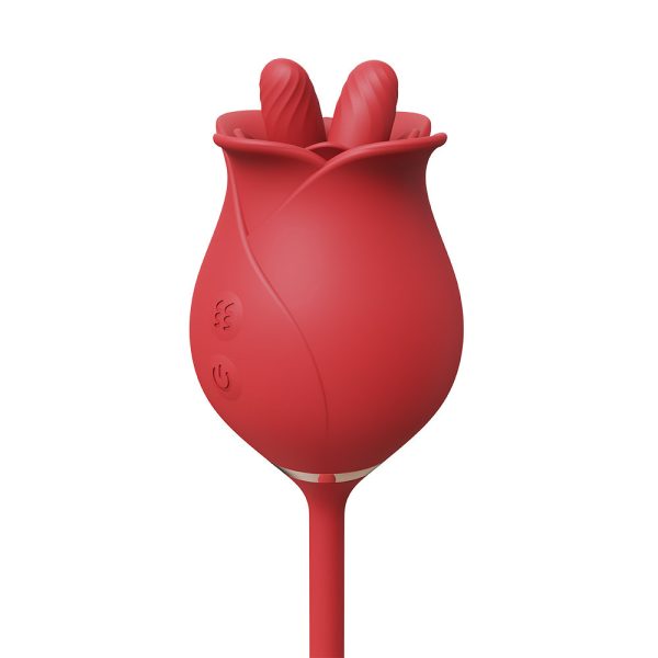 Vibrador Ponta Dupla com Massageador de Clitóris e Plug Anal - Image 6