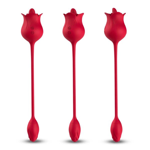 Vibrador Duplo Flexível em Formato de Rosa - USK - Image 4