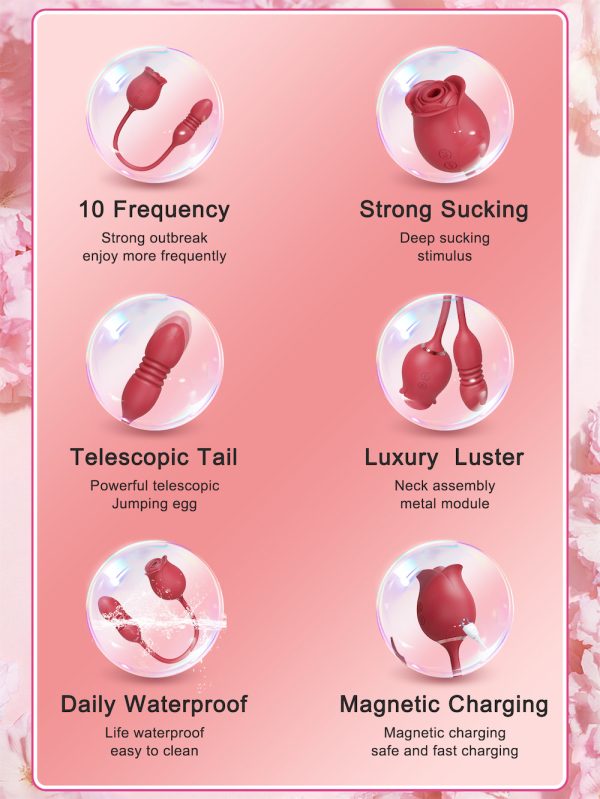 Rosa Vibrador com Pulsação e Penetrador com Sobe e Desce USB - Image 8