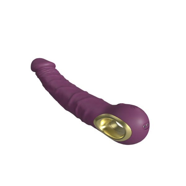 Vibrador Ponto G Recarregável Formato Pênis 10 Velocidades - Image 3