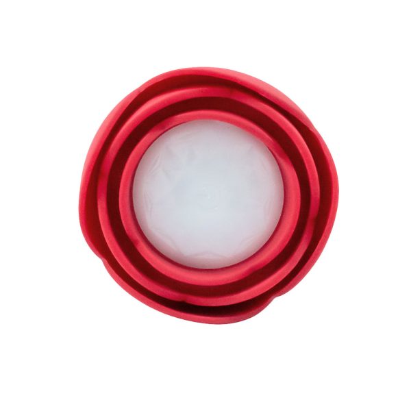 Plug Anal Flor Vermelho com LED 10 Velocidades Controle USB - Image 8