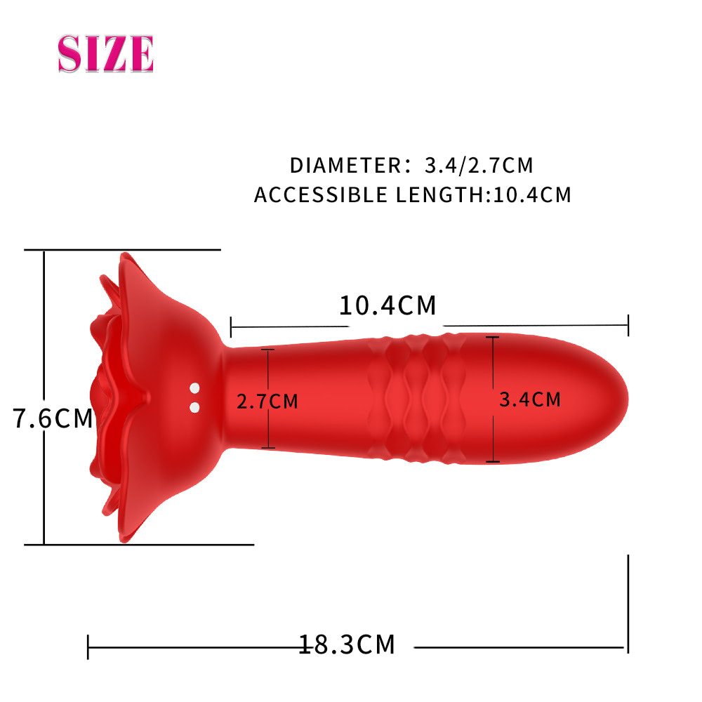 Plug Anal Flor com Vibração e Vai e Vem com Controle - USB - Imagem 3