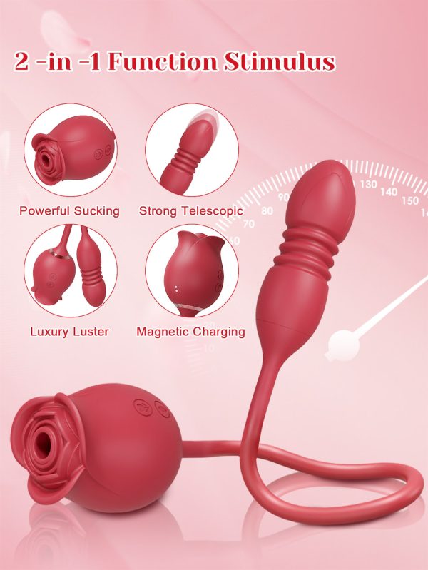 Rosa Vibrador com Pulsação e Penetrador com Sobe e Desce USB - Image 7