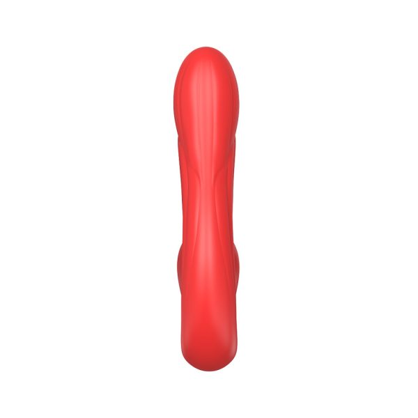 Vibrador Estimulador de Ponto G Com Bico para Clitoris USB - Image 4