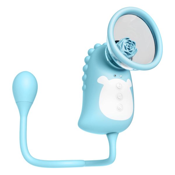 Sugador Clitoriano com Estimulador vai e vem e Bullet - USB - Image 8