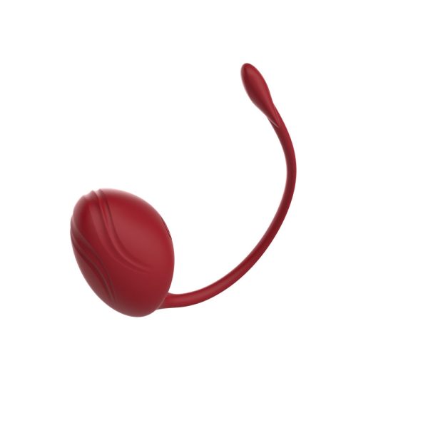 Estimulador Ponto G e Clitóris com Controle por Aplicativo - Image 8