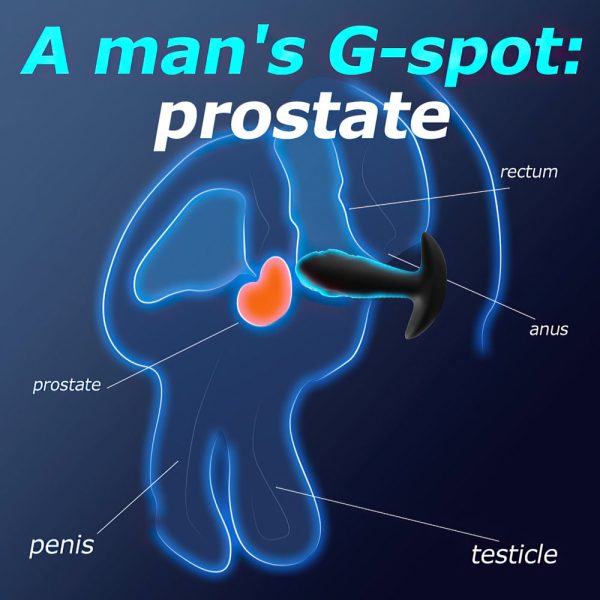 Plug Anal ou Vaginal Macio e Aveludado Com Controle Remoto - Image 2