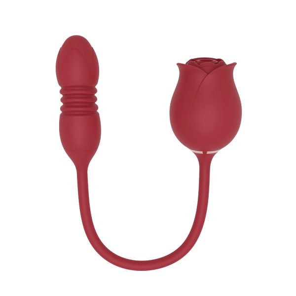Rosa Vibrador com Pulsação e Penetrador com Sobe e Desce USB - Image 6