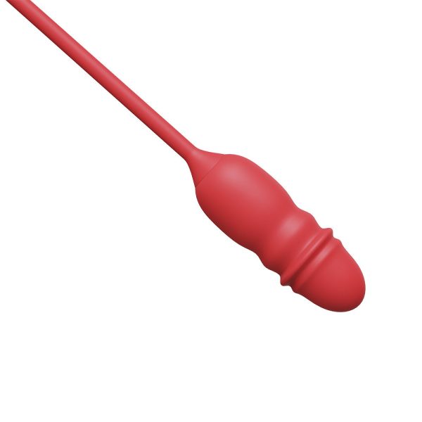 Vibrador Duplo Flexível 10 modos de Vai e Vem Recarregavel - Image 6