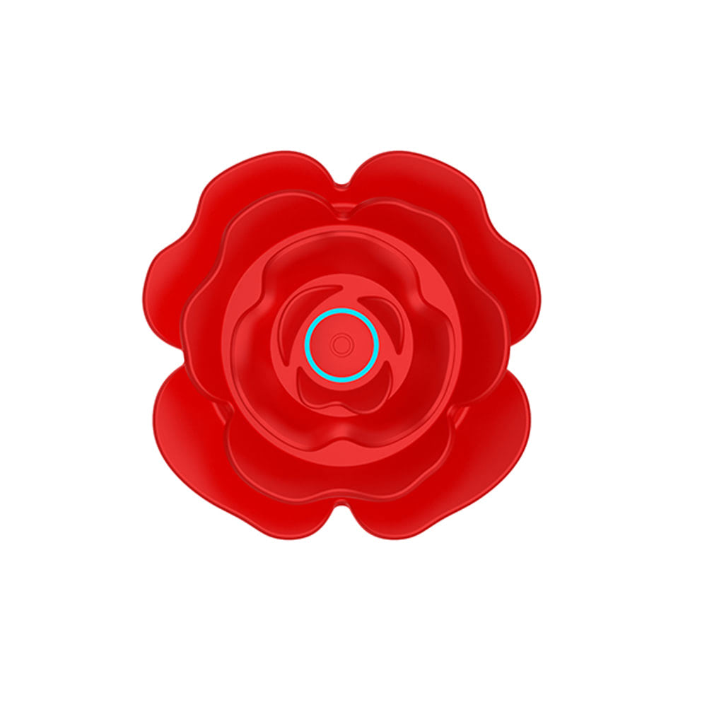 Plug Anal Flor com Vibração e Vai e Vem com Controle - USB - Imagem 6