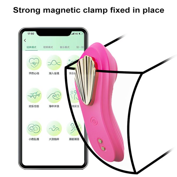 Vibrador Íntimo de Calcinha Recarregável Controle Via App - Image 6