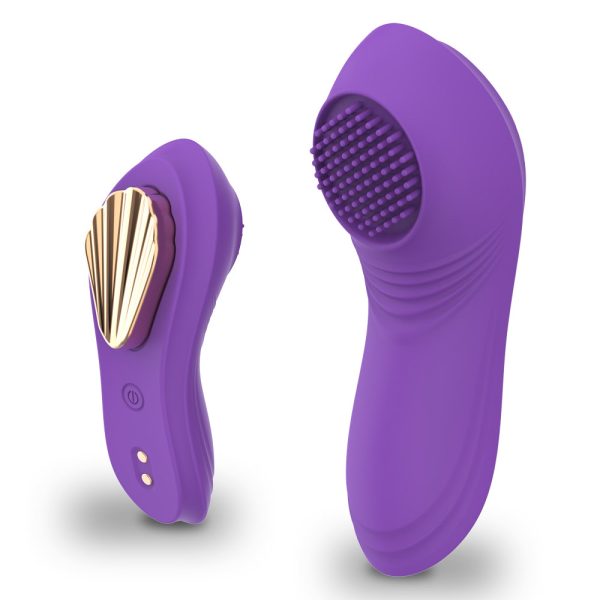 Vibrador Íntimo de Calcinha Recarregável Controle Via App