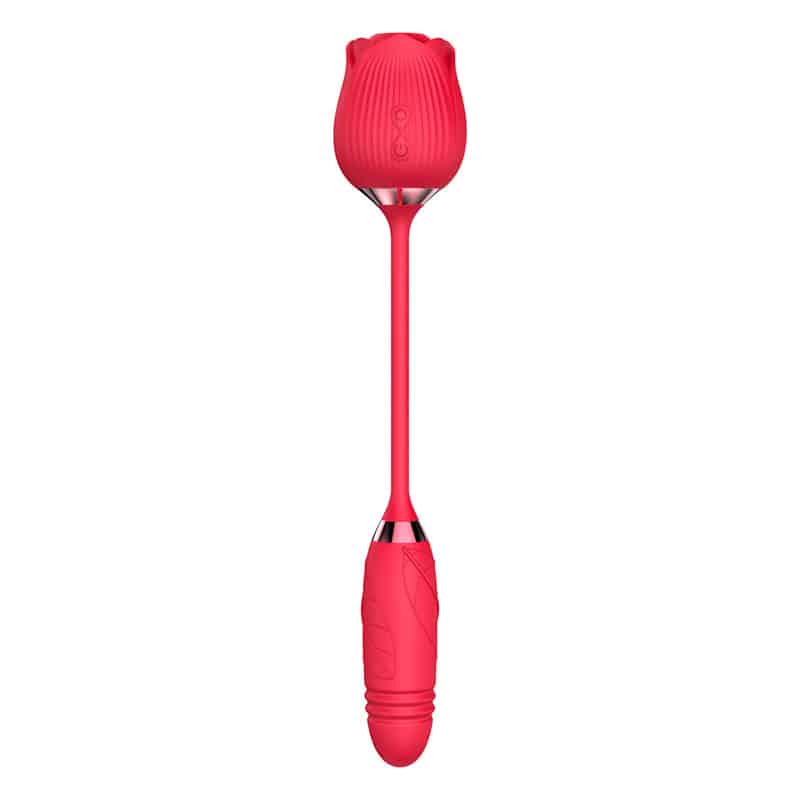 Vibrador Estimulador Duplo Vai e Vem e Sucção Recarregável - Imagem 5